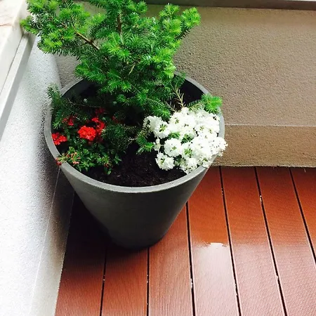 Lägenhet Piper Cytadela *